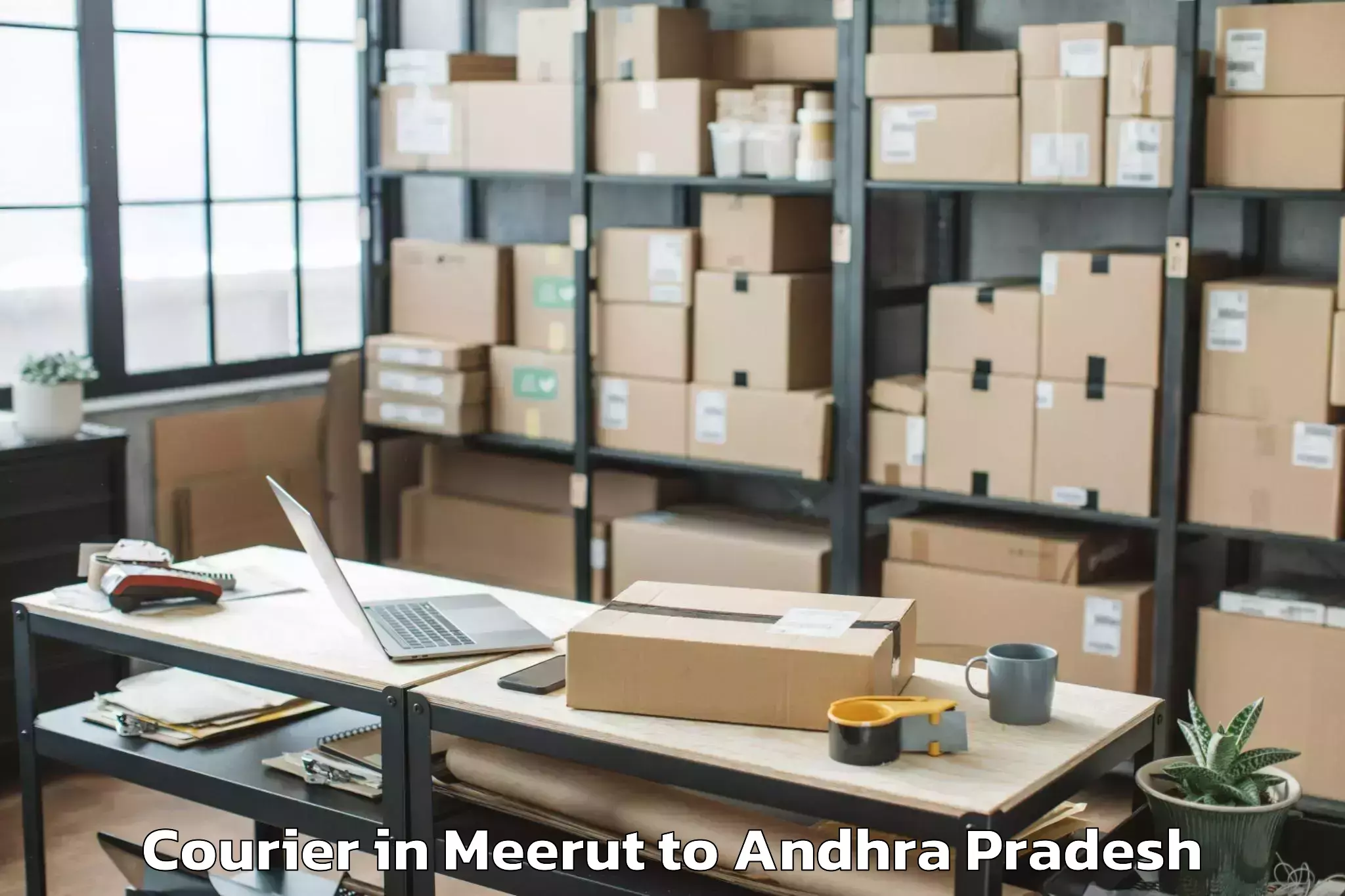 Get Meerut to Samalkota Courier